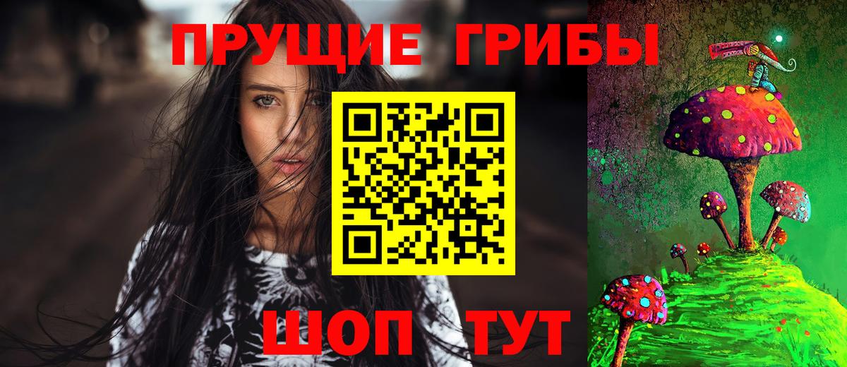 Псилоцибиновые грибы Psilocybe Кольчугино